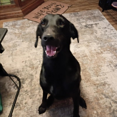 Mako profile picture