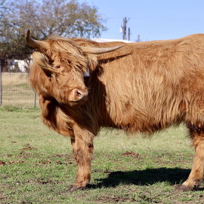 Ember profile picture