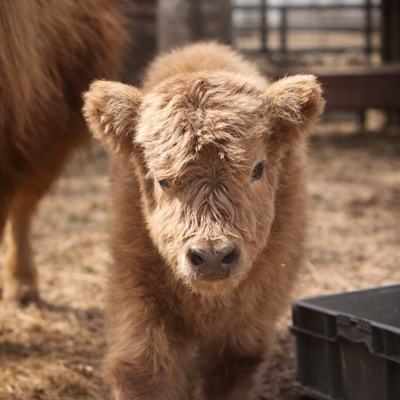 Jamie profile picture