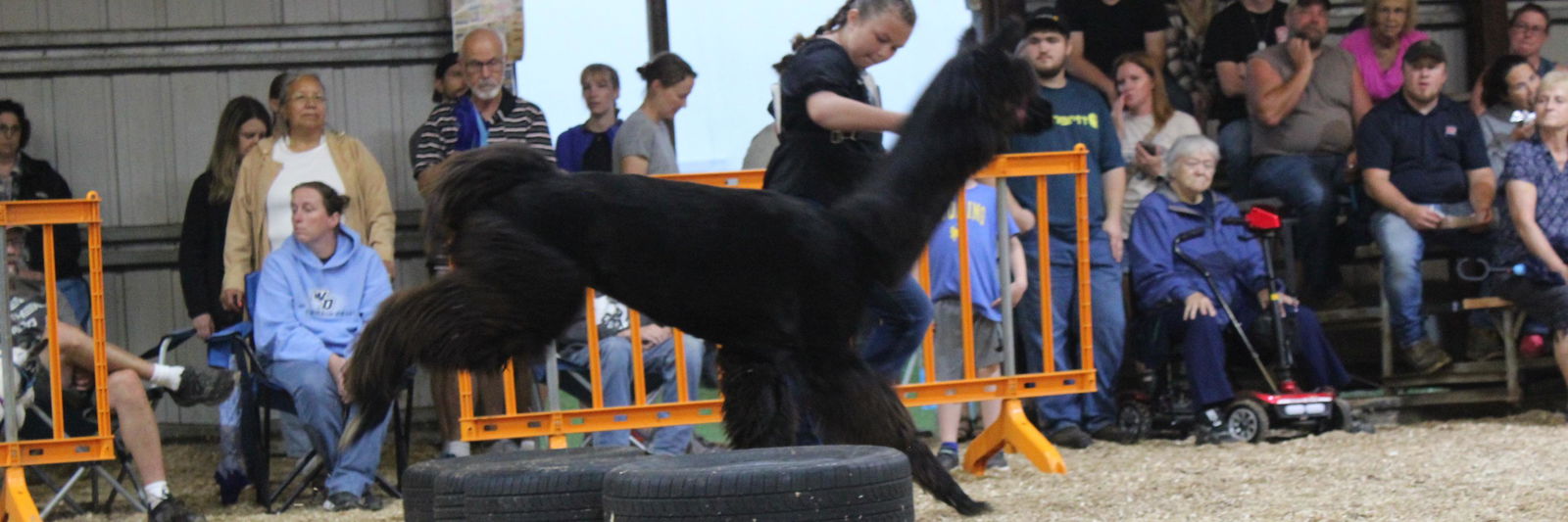 PPWI Jorah profile cover image