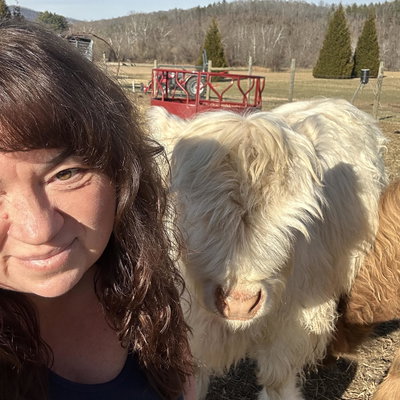 Diane Cook profile picture