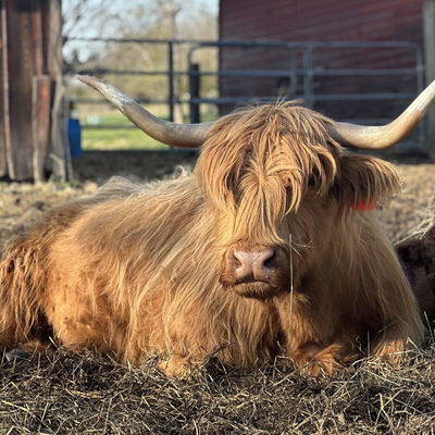 Kinna profile picture