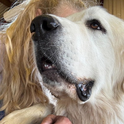 Boone profile picture