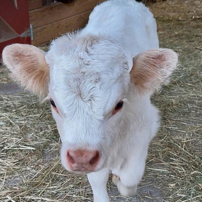 Milly profile picture