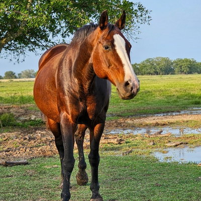 Sophie (Genuine Eye Candy) profile picture
