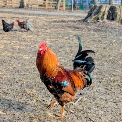 Bernardo profile picture