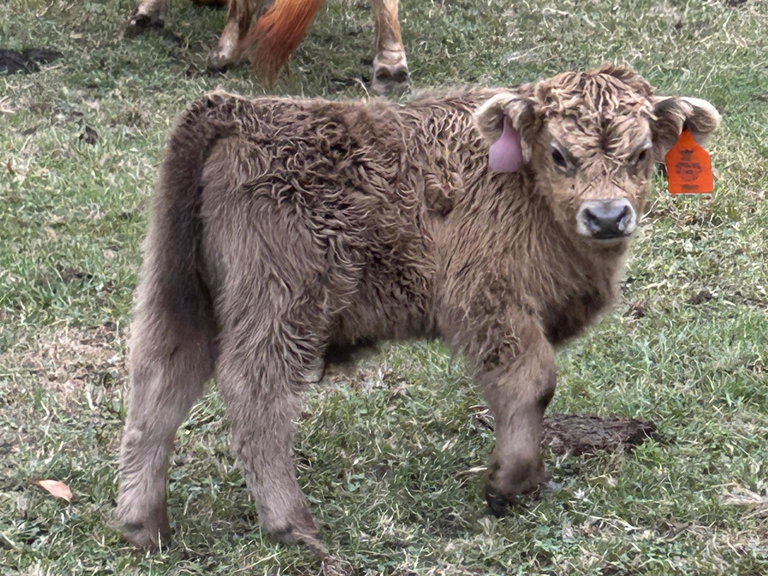 A Peculiar Farm Omaha