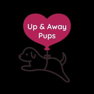 Up & Away Pups profile picture