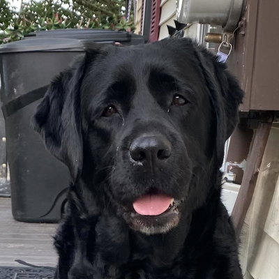 Freya profile picture