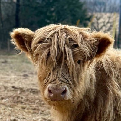 Riona profile picture