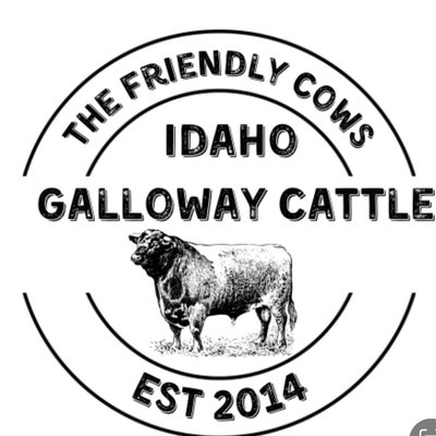 Idaho Galloway Cattle profile picture