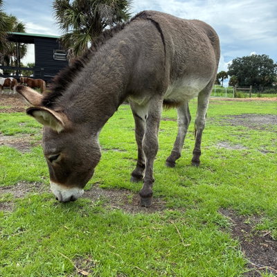 Huck profile picture