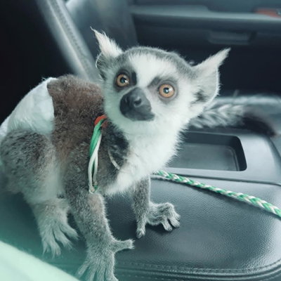 Millie profile picture