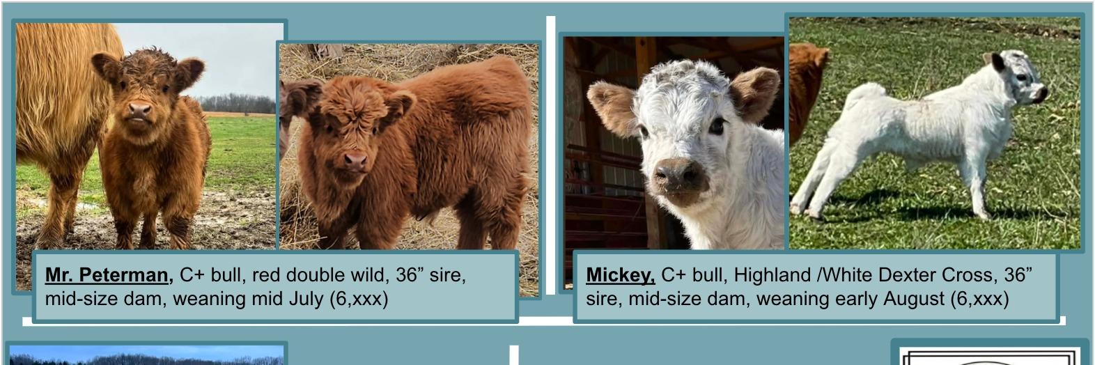 Laverne profile cover image