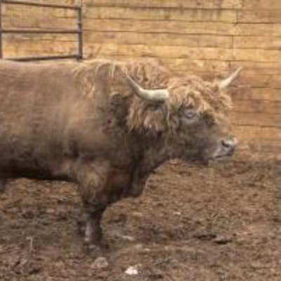 JP Dunn profile picture