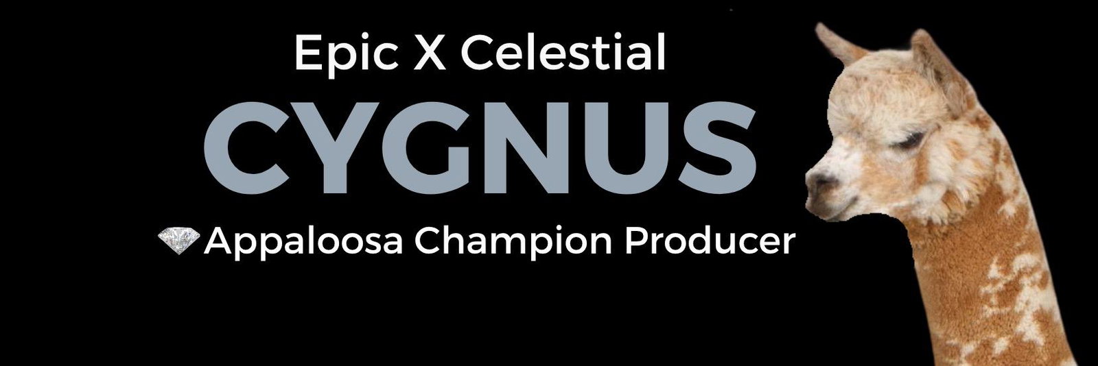 Epic X Celestial Cygnus profile cover image