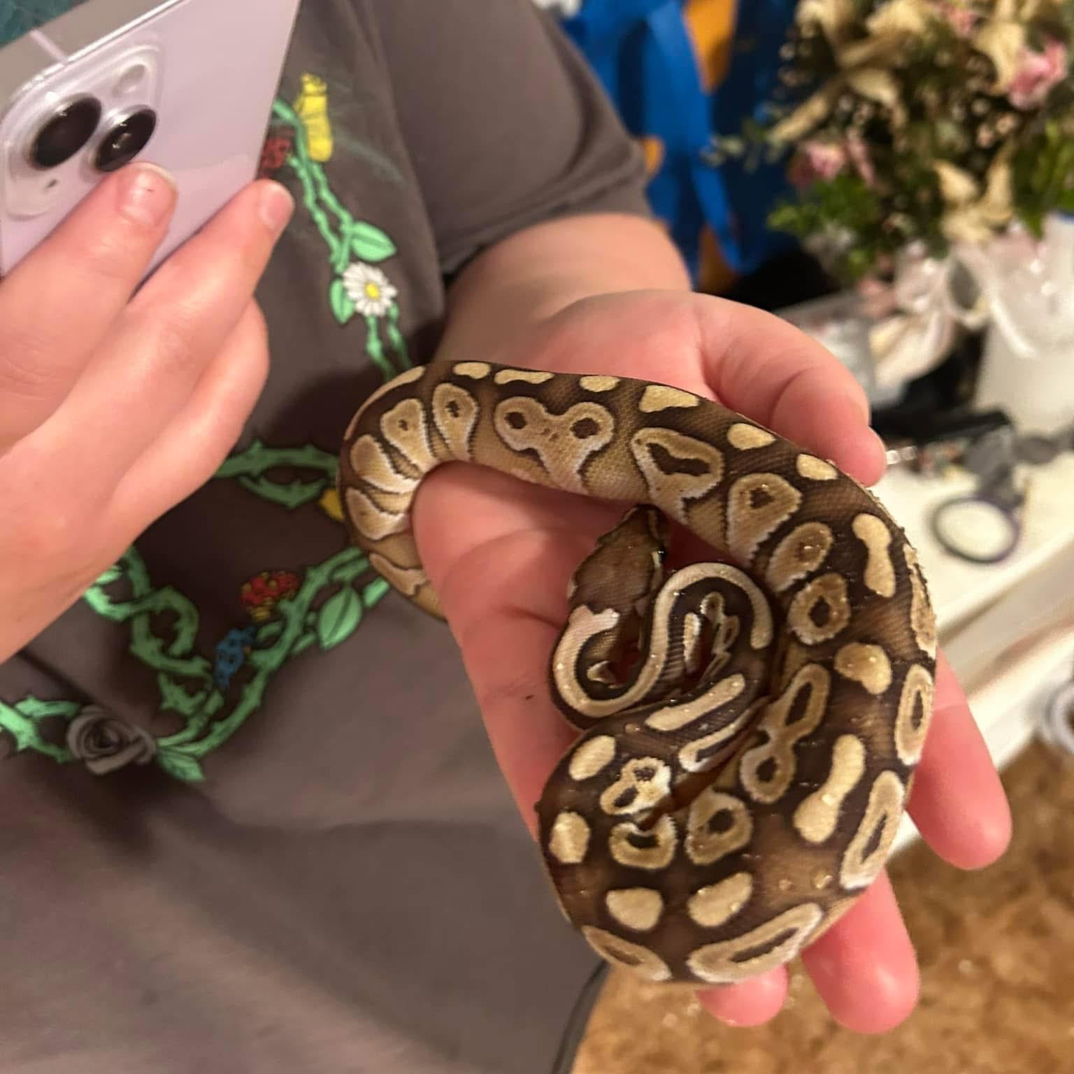 Kali
