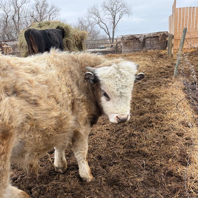 Luke profile picture