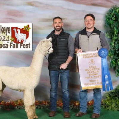 Stillmeadow Farm Honey's Nightstorm profile picture