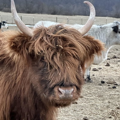 RBR Maggie profile picture