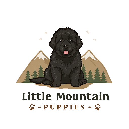 Little Mountain Puppies profile picture