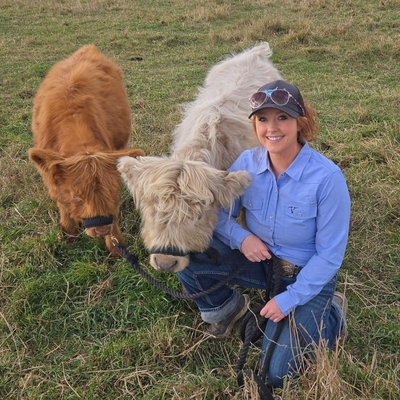 Kow's Mini Cows profile picture