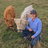 Kow's Mini Cows profile picture