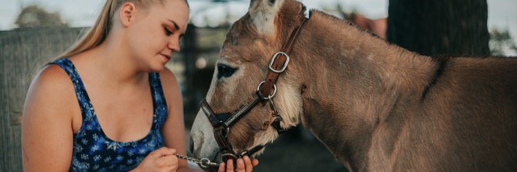 Pip profile cover image