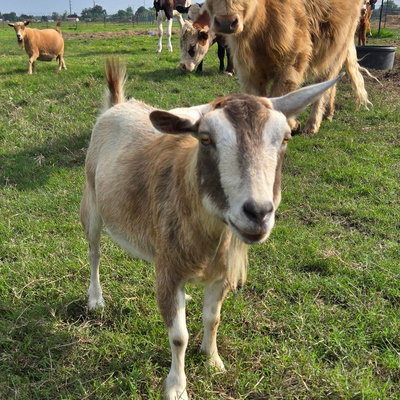 Fancy profile picture