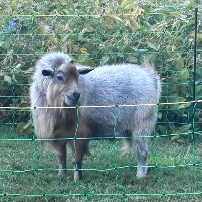 Gary profile picture
