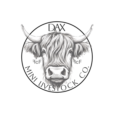 DAX Livestock Co profile picture