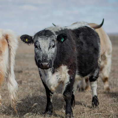 Maddie profile picture