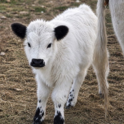 Emmie profile picture