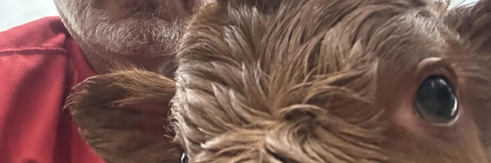 Idabel profile cover image