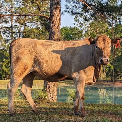 Jordyn profile picture