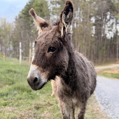 Anna profile picture