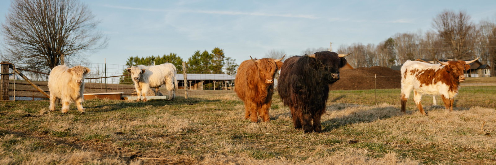 BPF Theodore Ramsey “Theo” profile cover image