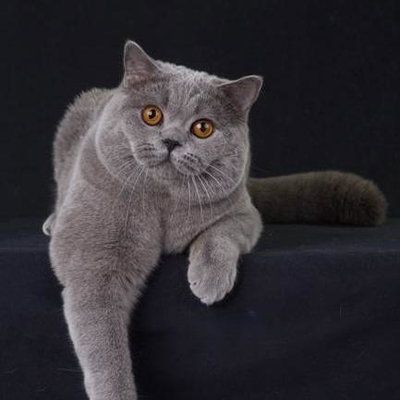 Maria Duran profile picture