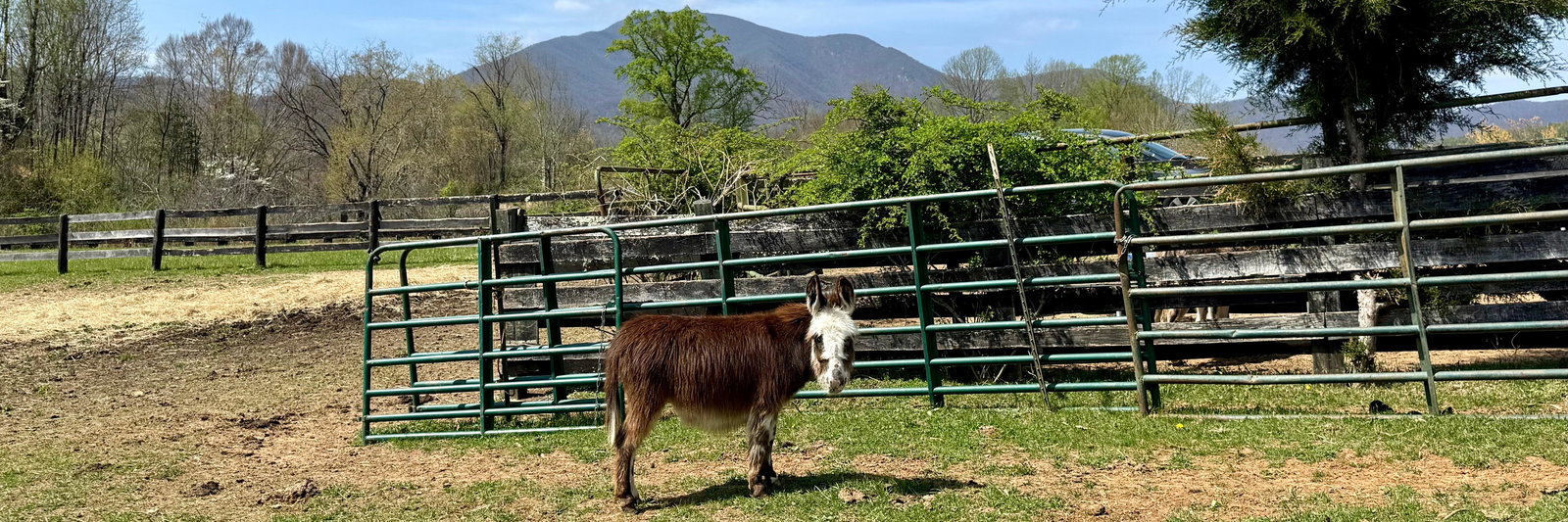 Marguerite profile cover image