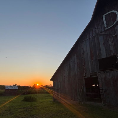 Blue Buckle Farm profile picture