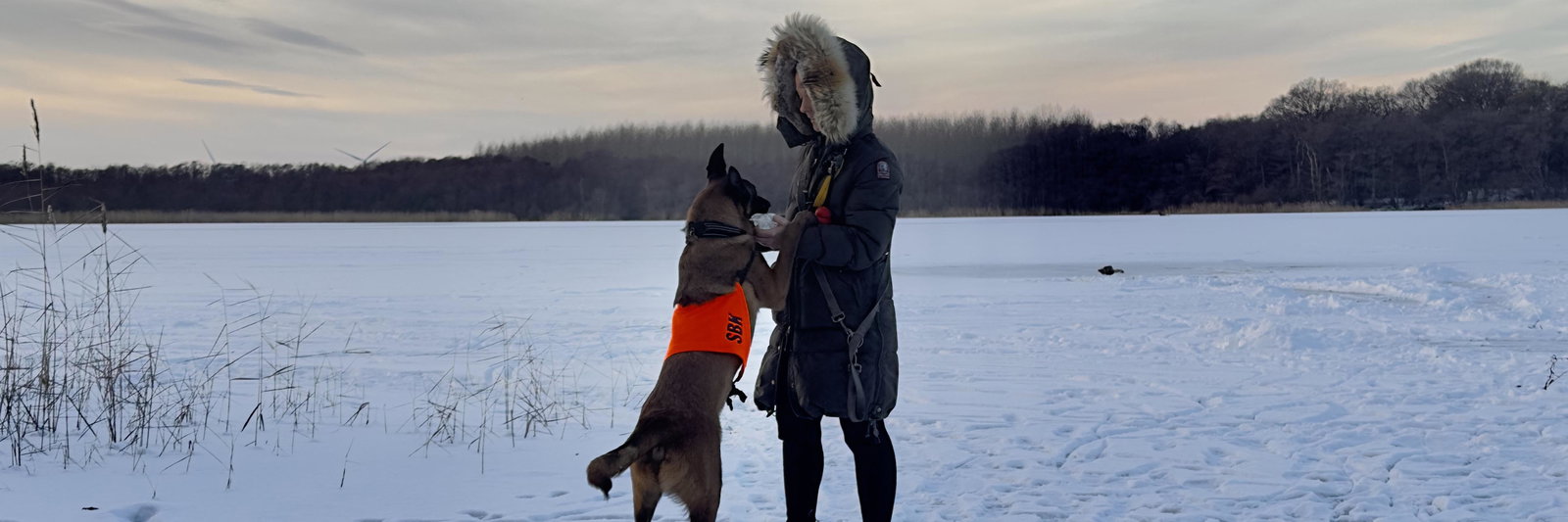 Handler of paws - Malinex profile cover image