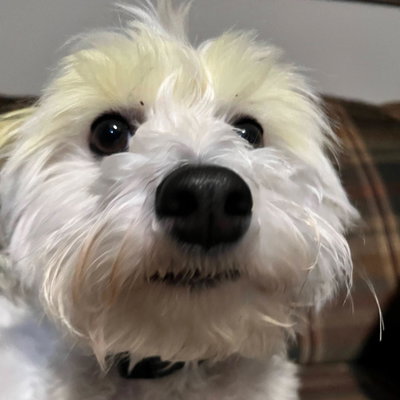 Edgar profile picture