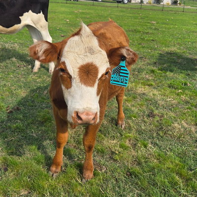 Paris profile picture