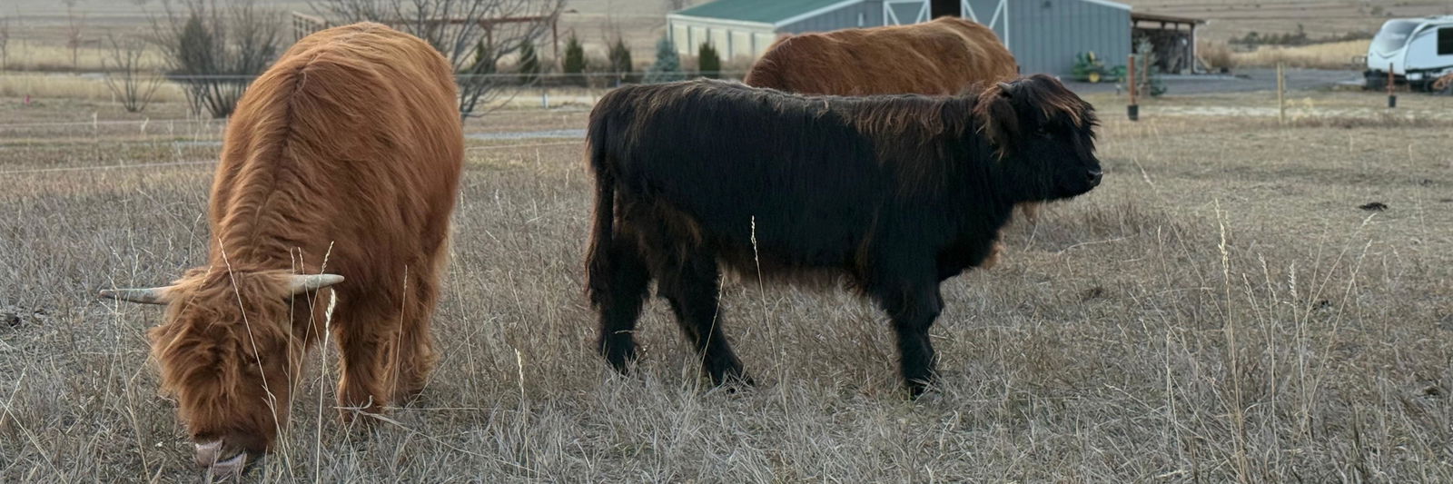 Jose Rodriguez profile cover image