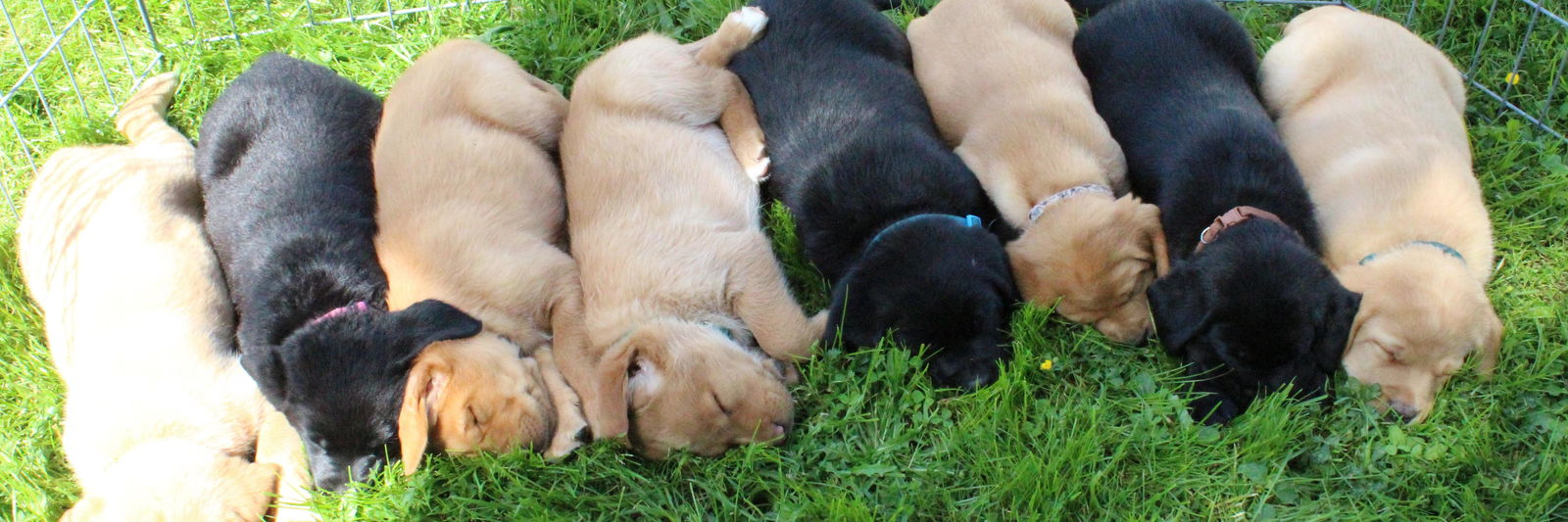 Kathy Shaum profile cover image