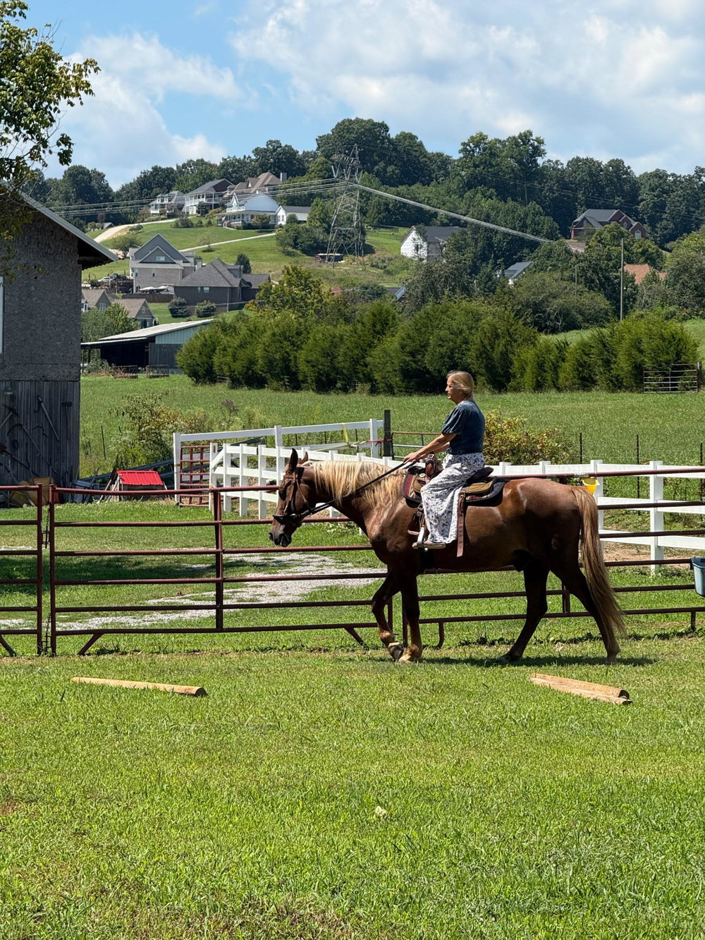 Lessons, photo 8