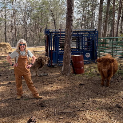 Kristi Lee profile picture